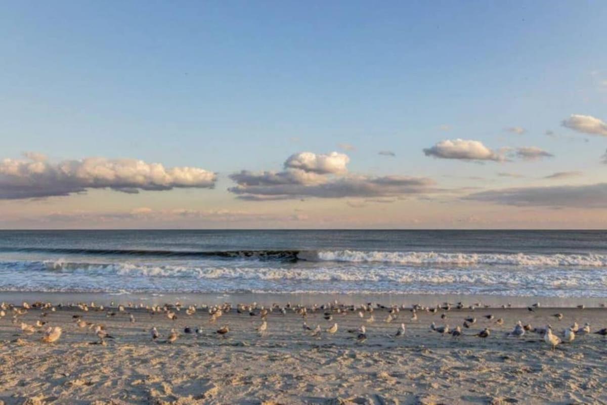 *Delightful Beach Condo*Pool, Steps To The Sand*H33 شاطئ ميرتل المظهر الخارجي الصورة